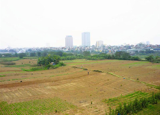 đất nông nghiệp Hà Nội