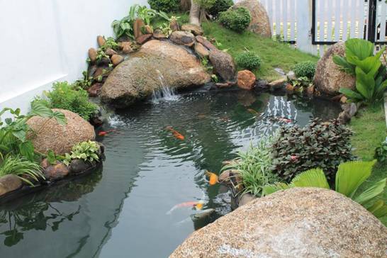 Phong thủy học: Chọn phương vị và hình dáng cho hồ nước trong sân vườn