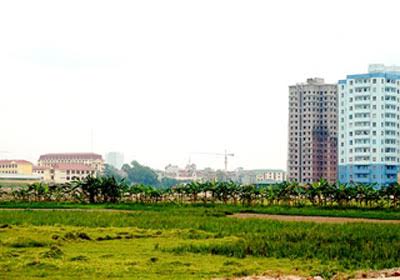 thuê đất của Nhà nước