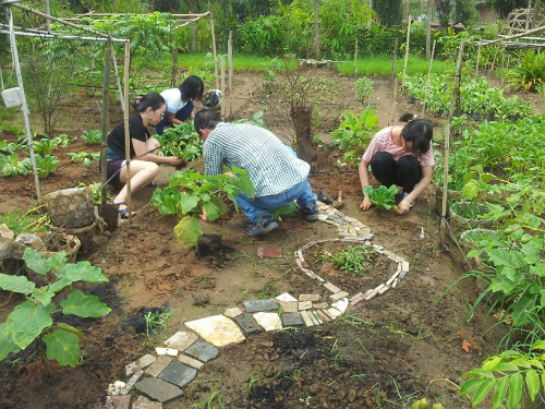 Mô hình đầu tư nông trại cho thuê giữa phố nhà giàu Sài Gòn