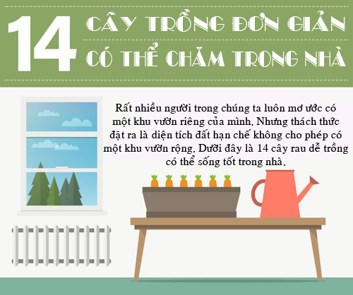 14 loại rau củ dễ trồng