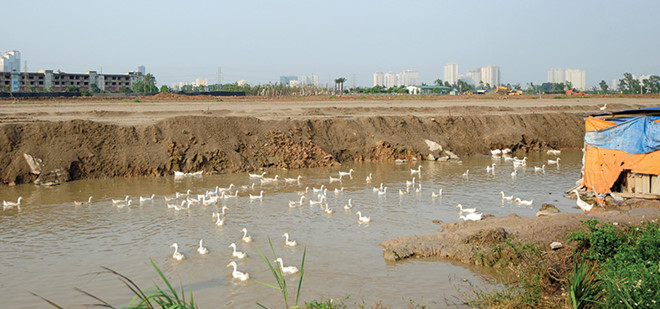 Dấu hiệu tạo 'sóng' mới trên thị trường đất nền Hà Nội
