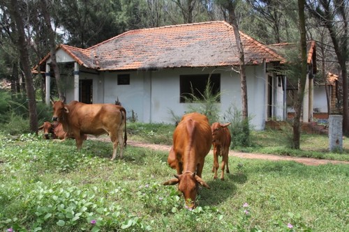 Khu Du lịch đồi Phong Lan