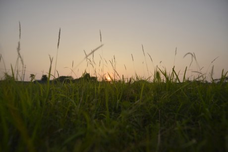 Nơi đây dự kiến sẽ trở thành khu vực nghỉ dưỡng khá lãng mạn khi dự án hoàn thành. dự án nghỉ dưỡng bỏ hoang