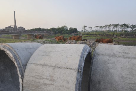 Vật liệu xây dựng đặt ngổn ngang trên đất dự án. dự án bỏ hoang