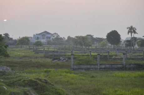 vườn sinh thái bỏ hoang