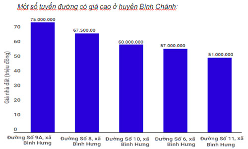 Tp.HCM: Đất 3 quận ngoại ô đang quy hoạch lên quận rục rịch tăng giá