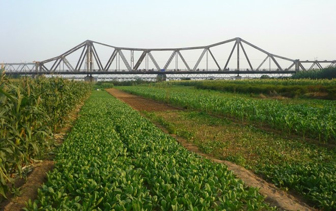 Hà Nội duyệt giá đất để tính tiền thuê đất làm dự án tại bãi nổi sông Hồng