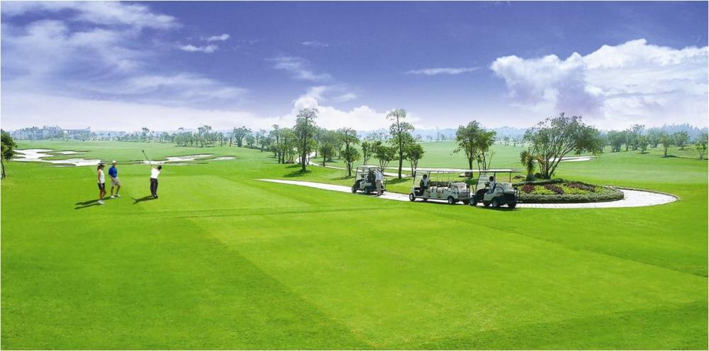Thủ tướng chấp thuận đầu tư dự án Hai Phong Sakura Golf Club