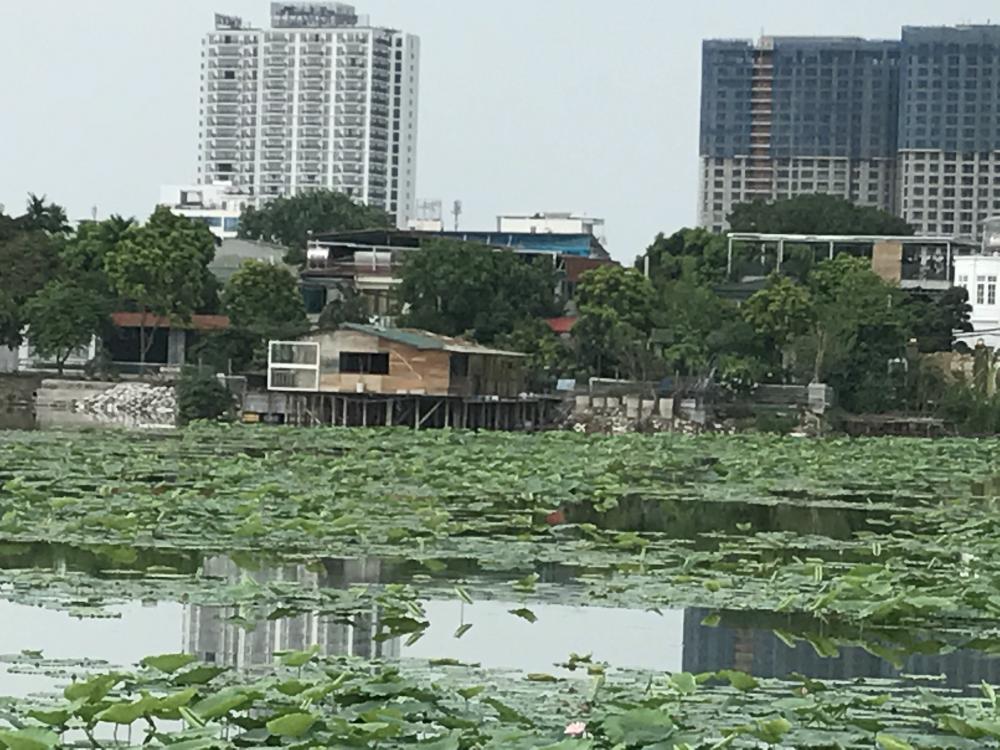 làm rõ vụ hàng chục biệt thự không phép "mọc" trên đất nông nghiệp