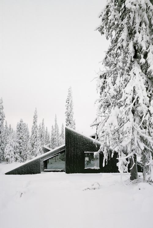 độc đáo ngôi nhà cabin