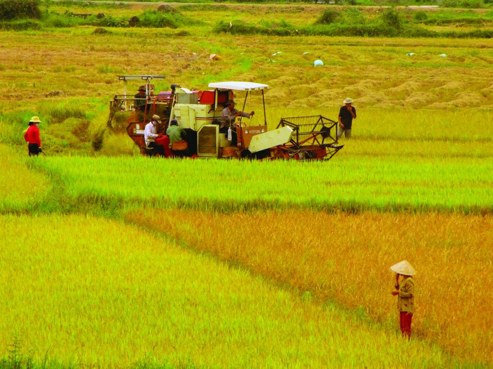 Bắc Giang chuyển hơn 127 ha đất trồng lúa sang đất phi nông nghiệp