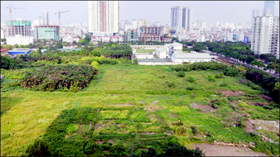 Bán đấu giá 49 cơ sở nhà đất tại Bà Rịa - Vũng Tàu