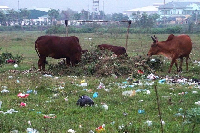 Đà Nẵng: Giao đất cho doanh nghiệp không có dự án