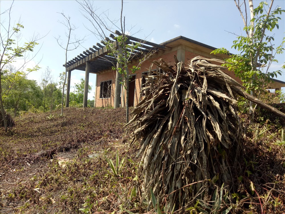 biệt thự hoang