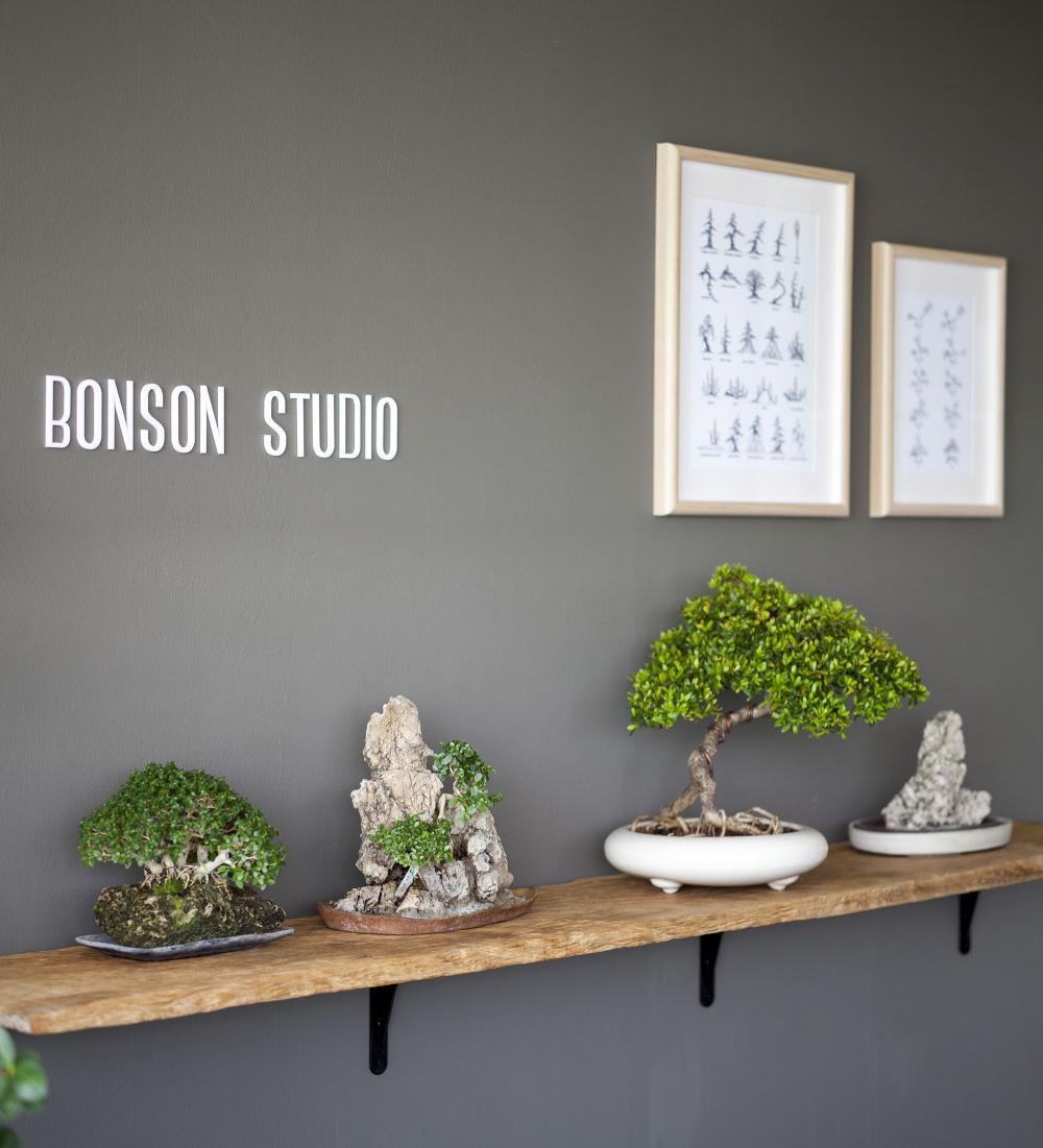 ​Khu vực trang trí riêng cho bonsai ấn tượng