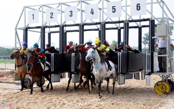 Chính phủ chấp thuận xây trường đua ngựa tại Hà Nội