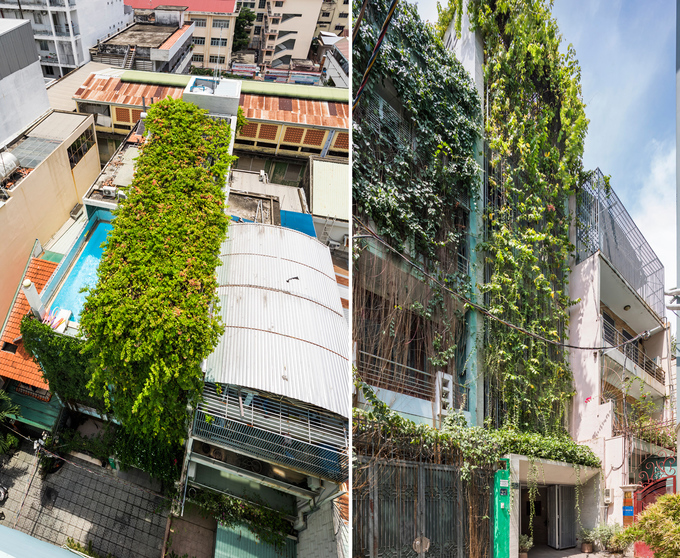 nhà Sài Gòn phủ kín cây xanh