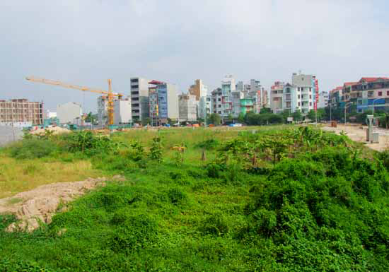 Đã đấu giá 4 mảnh đất “vàng” tại quận Cầu Giấy, Hà Nội