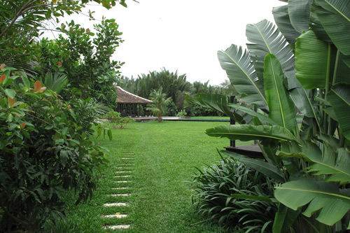 thiết kế nhà vườn có khu vườn nhiệt đới