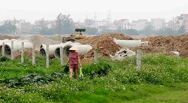 2015: 34.000 ha đất lúa được phép chuyển đổi mục đích sử dụng