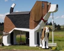 Căn phòng hình chú chó khổng lồ khiến tín đồ mê cún phát cuồng