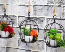 Những ý tưởng thiết kế vườn treo trong nhà độc đáo