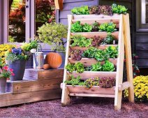 Những ý tưởng thiết kế vườn rau đáng mơ ước cho không gian nhỏ