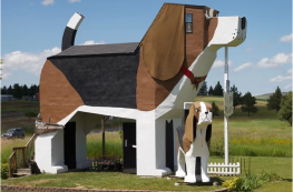 Căn phòng hình chú chó khổng lồ khiến tín đồ mê cún phát cuồng