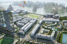 Cung vượt quá cầu, Quảng Ninh ra lệnh dừng gấp dự án nhà ở mới