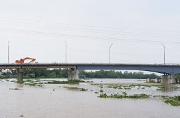 Xây 3 cây cầu nối TP.HCM - Long An - Tiền Giang
