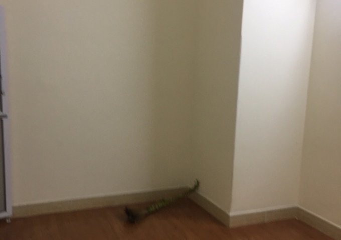 Bân nhà 3,5 tầng ngõ Văn Hương, Tôn Đức Thắng, Đống Đa, Hà Nội