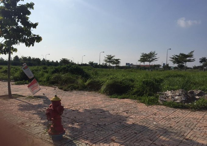 Bán đất mặt tiền Nguyễn Hữu Trí, xã Tân Túc, Hồ Chí Minh, 100m2, giá chỉ 350 triệu.