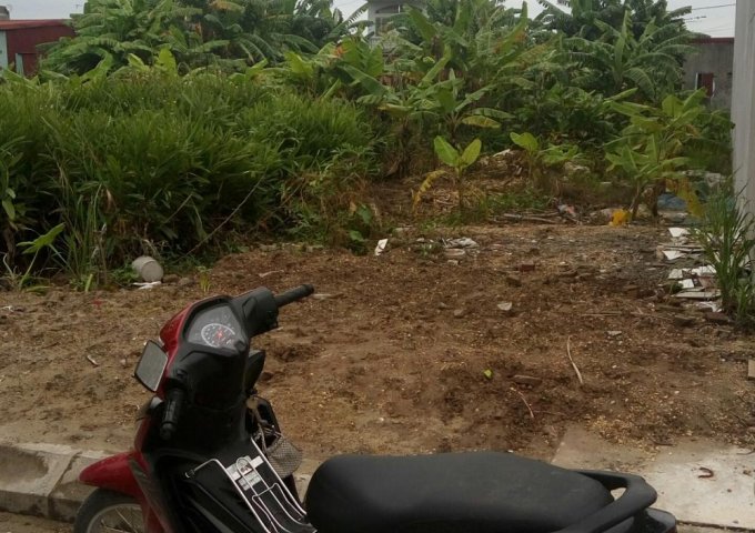 Bán đất 125 m2 sau nhà hàng Chapi, Vân Tra, An Đồng, An Dương, Hải Phòng. Giá 700 triệu