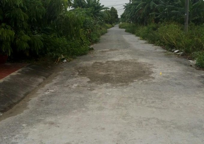 Bán đất 125 m2 sau nhà hàng Chapi, Vân Tra, An Đồng, An Dương, Hải Phòng. Giá 700 triệu