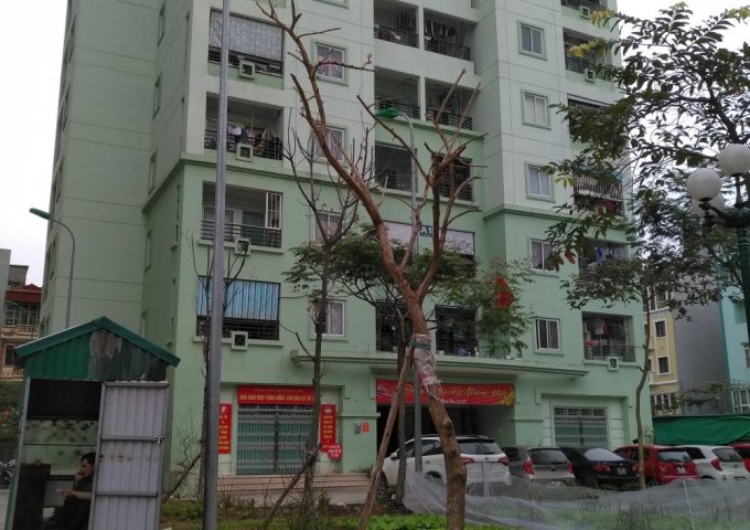 Cho thuê căn hộ chung cư tại tòa A1, X2, Hạ Đình