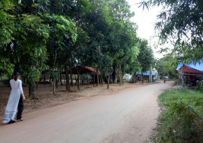 Bán đất Phú Hoà, Thủ Dầu Một, tỉnh Bình Dương