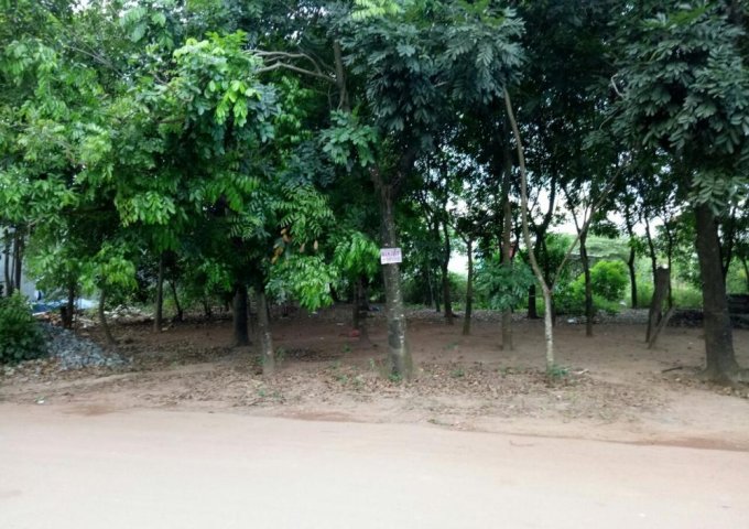 Bán đất Phú Hoà, Thủ Dầu Một, tỉnh Bình Dương