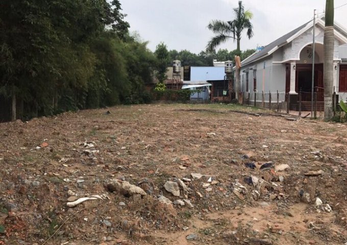 Bán đất phường Phú Mỹ, mặt tiền đường DX028, Thủ Dầu Một, Bình Dương