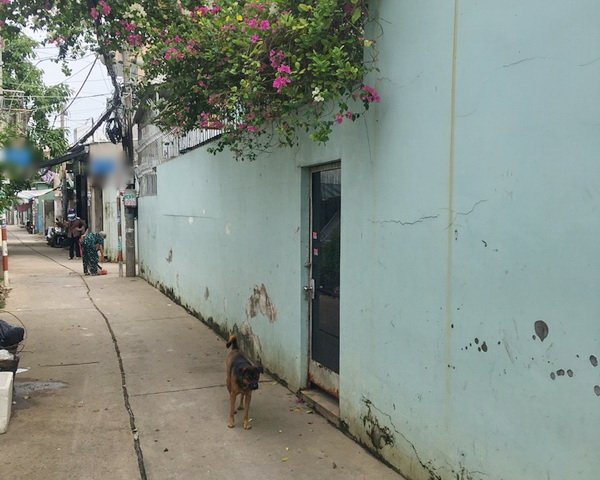 Bán nhà nát tiện xây dựng hẻm 159, đường Xóm Chiếu, P. 15, quận 4