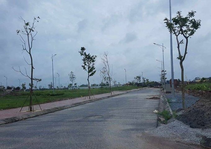 Dự án Gò Gai, Thủy Nguyên, Hải Phòng