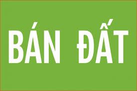 Kết quả hình ảnh cho bán dadaast quảng cáo
