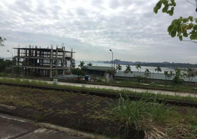 Bán đất đầu Tuần Châu sau Toyota Quảng Ninh xây 7 tầng, lưng tựa núi mặt hướng biển