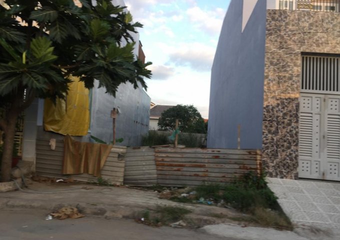 Đất nền đường Tân Liêm, Ấp 2, xã Phong Phú, Bình Chánh, giá cực rẻ