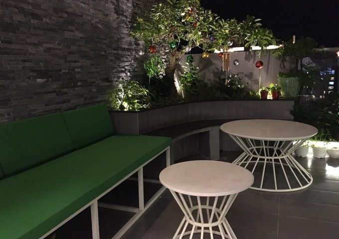 Bán căn hộ penthouse Sunrise City DT 180m2 có 3PN nội thất hiện đại có sân vườn bán 11 tỷ 0908649849