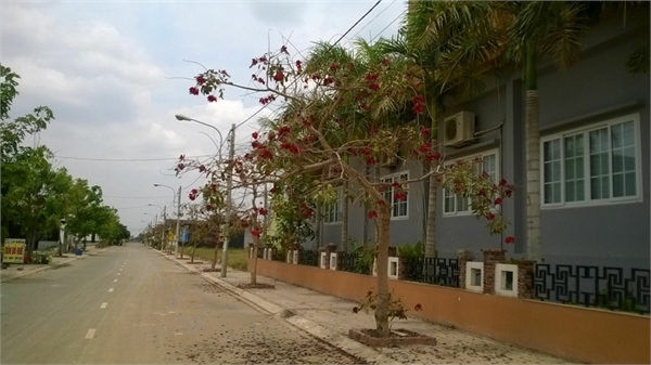 Bán đất ở hoặc đầu tư sinh lời cao nằm ngay Cầu Lớn, đường Phan Văn Hớn, gần cụm khu công nghiệp