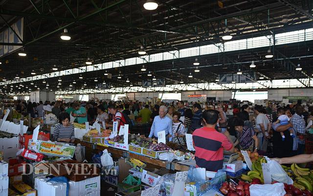 Bán Kiot chợ Hoa quả mới, Sở Dầu, Hải Phòng