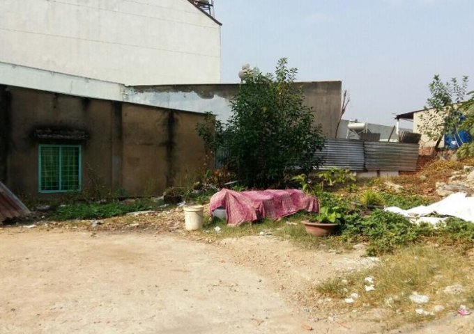 Bán đất cách đường Trần Thị Hoa 20m (Vũ Hồng Phô) phường An Bình Biên Hòa