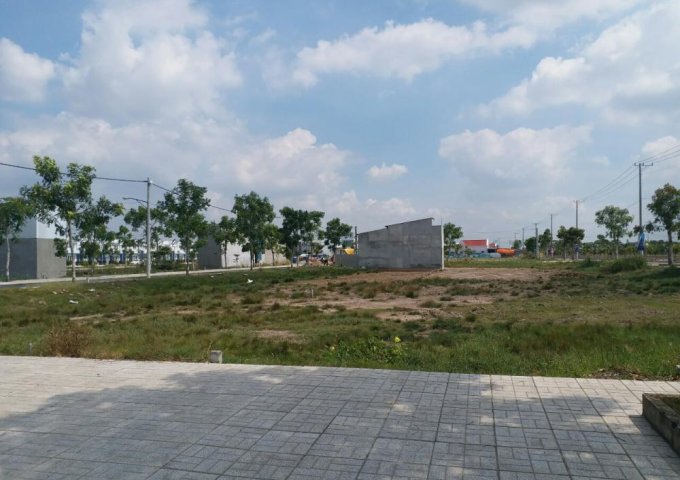 Bán đất tại Xã Lê Minh Xuân, Bình Chánh,  Hồ Chí Minh diện tích 120m2  giá 8000 Triệu/m²