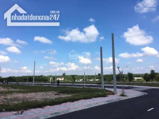 Bán đất nền dự án tại Xã Lộc An, Long Thành,  Đồng Nai diện tích 180m2  giá 550 Triệu